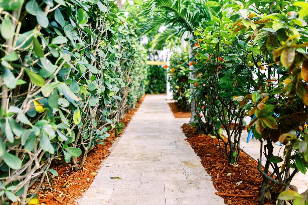Casa Cordova Apartman Fort Lauderdale Kültér fotó